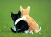 Fraternité (Jean Rivet)