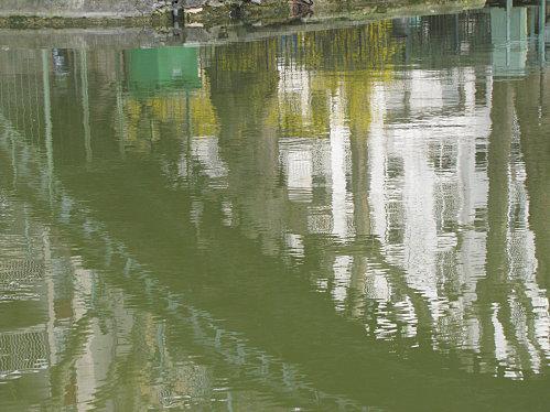 Paris-is-beautiful 0826