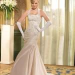 amical_gold_Robe_2011_tomy_Mariage