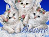 soir c'est cadeau pour grandes gagnantes