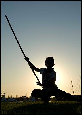 La nuit, tant de chats sont gris