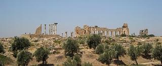 Les ruines romaines de Volubilis