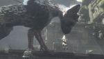 [TGS 10] The Last Guardian se montre aussi
