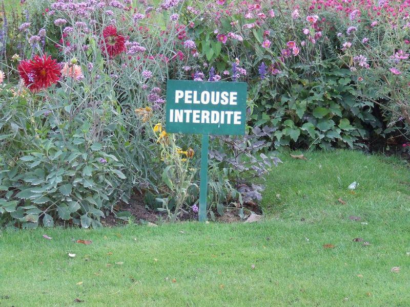Il est interdit de piétiner les plates-bandes (Raymond Queneau)