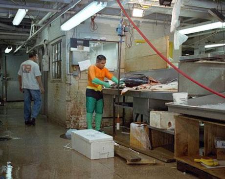 Quels boulots pour nos SuperHéros ! par Dulce Pinzon