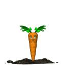 Enlever une tache de carotte