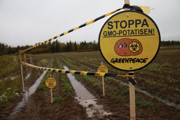 OGM : la contestation enfle en Europe