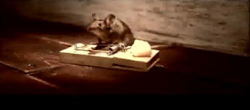 C’est l’histoire d’une petite souris gourmande