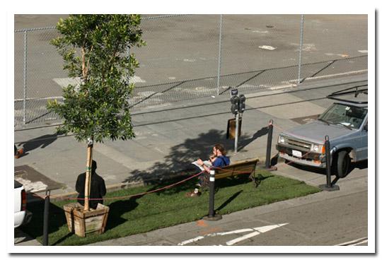 Quand la verdure reprend ses droits...