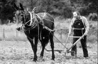 NOUVELLE FORMULE BIENTOT....