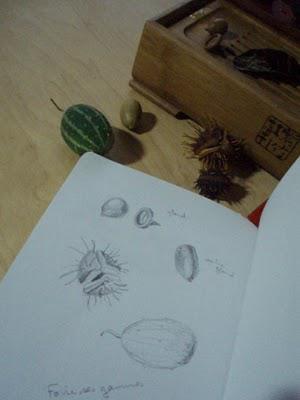 Le moment de thé... vers plus de voyage pour l'esprit