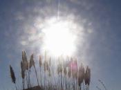 Quelque (Michaël Donhauser)