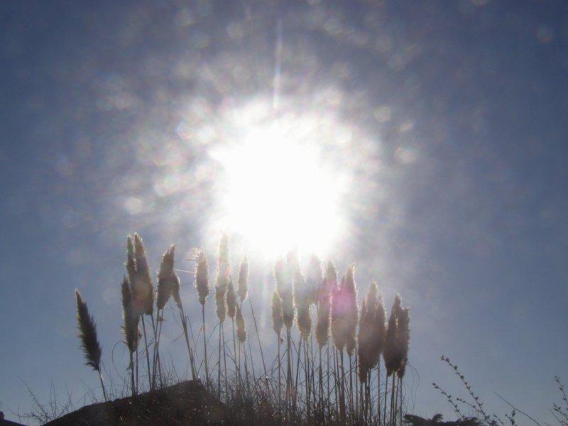 Quelque (Michaël Donhauser)