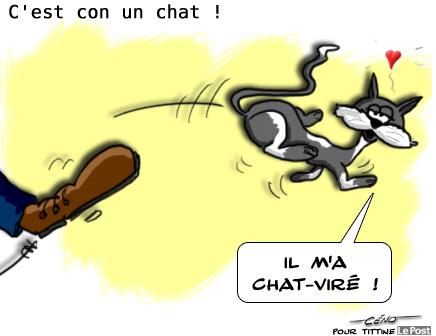 Le Post de Tittine : avoir un chat…