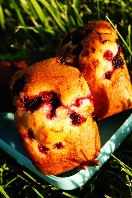 Mini cakes Mini cakes