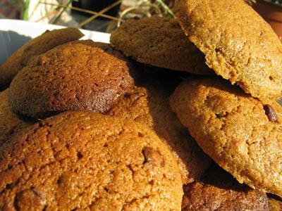 de nouveau cookies au chocolat
