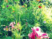 week-end fiançailles