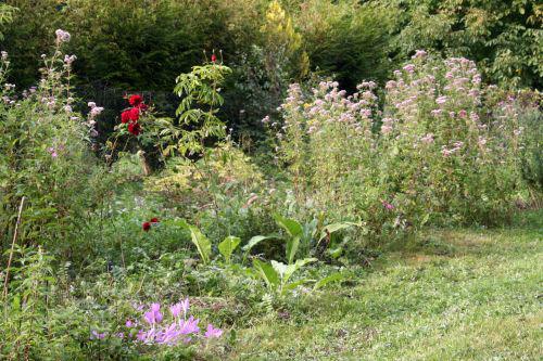 red parfum romi 4 sept 2010 037.jpg