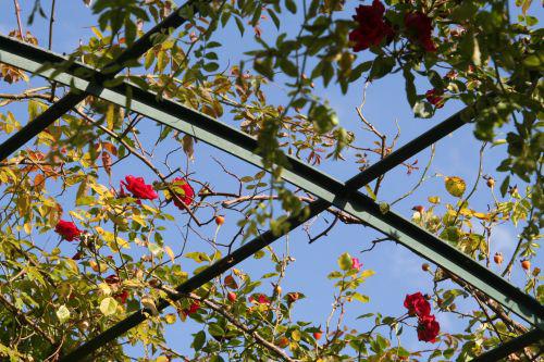 souvenir de claudius denoyel marnay 18 sept 2010 089.jpg