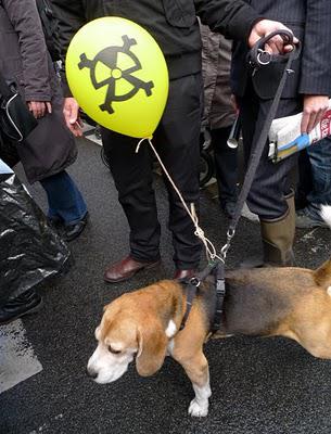 Jour de manif(s) à Berlin