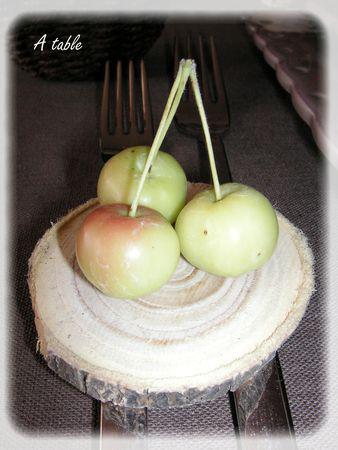 chocolat_poires_055_modifi__1