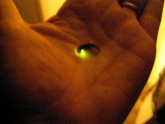 Ver luisant (Robert Desnos)