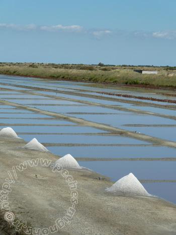 Notre petit séjour dans les Deux-Sèvres