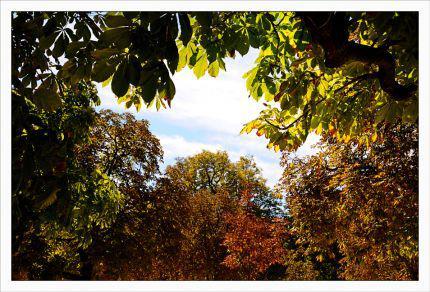 Inquiétants Jardins Philippe Ibars Jardins de la Fontaine IBA_4713.jpg