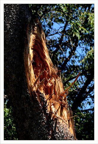 Inquiétants Jardins Philippe Ibars Jardins de la Fontaine IBA_4915.jpg