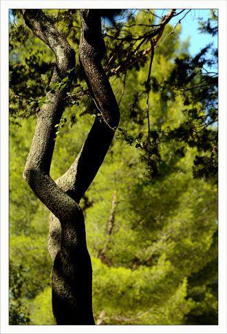 Inquiétants Jardins Philippe Ibars Jardins de la Fontaine IBA_5002.jpg