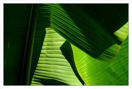 Inquiétants Jardins Philippe Ibars Jardins de la Fontaine IBA_4808.jpg