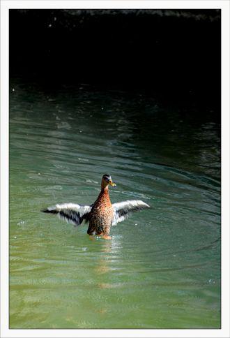 Inquiétants Jardins Philippe Ibars Jardins de la Fontaine IBA_4781.jpg