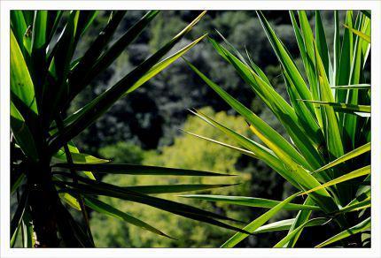Inquiétants Jardins Philippe Ibars Jardins de la Fontaine IBA_4902.jpg
