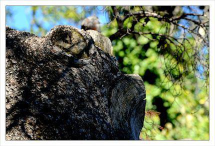 Inquiétants Jardins Philippe Ibars Jardins de la Fontaine IBA_5012.jpg