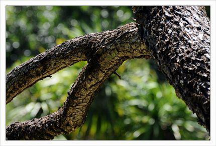 Inquiétants Jardins Philippe Ibars Jardins de la Fontaine IBA_4886.jpg