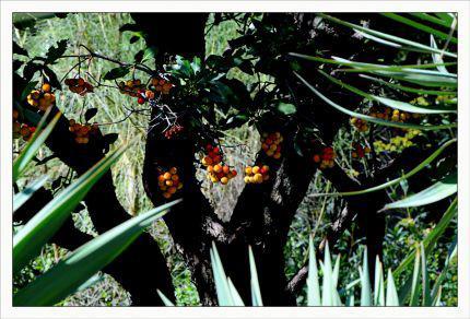 Inquiétants Jardins Philippe Ibars Jardins de la Fontaine IBA_4877.jpg