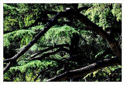 Inquiétants Jardins Philippe Ibars Jardins de la Fontaine IBA_4889.jpg