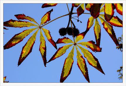 Inquiétants Jardins Philippe Ibars Jardins de la Fontaine IBA_4730.jpg