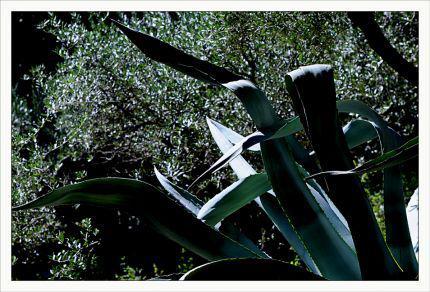 Inquiétants Jardins Philippe Ibars Jardins de la Fontaine IBA_4872.jpg