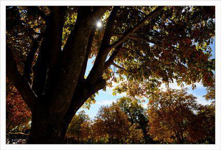 Inquiétants Jardins Philippe Ibars Jardins de la Fontaine IBA_4714.jpg