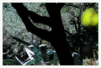 Inquiétants Jardins Philippe Ibars Jardins de la Fontaine IBA_4865.jpg