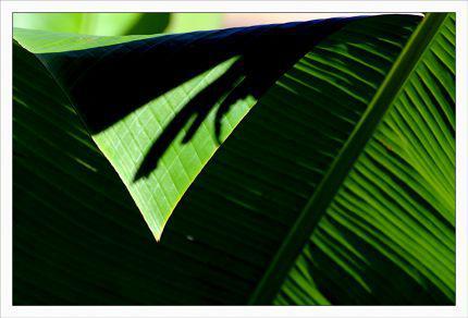 Inquiétants Jardins Philippe Ibars Jardins de la Fontaine IBA_4815.jpg