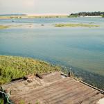 Adam & Eve {Real Wedding}