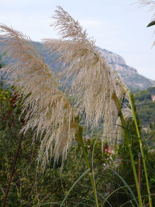 Mise en terre des bulbes de printemps : journal du 19 septembre 2010