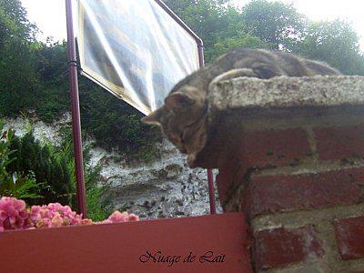 week end Normandie septembre 2010 098-1