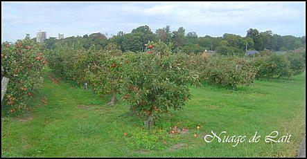 week end Normandie septembre 2010 088-1