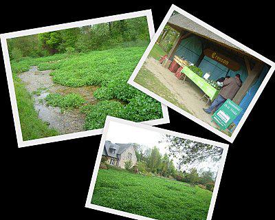 week end Normandie mai 20104