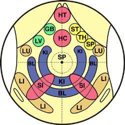 Un jeûne accompagné d'un Chi Nei Tsang (massages du ventre, des organes)