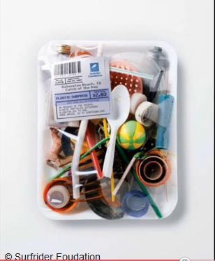 Plastique : l'ennemi intime