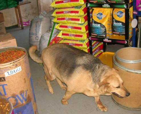 Même à moi ça me manquait....